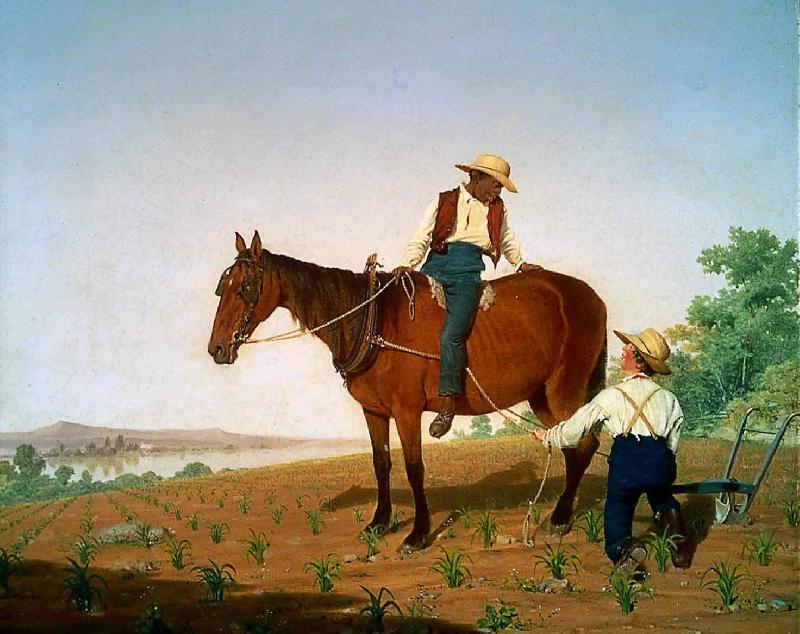 James-Goodwyn Clonney In the Cornfield oil painting picture